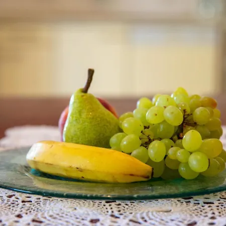 Holiday Marija بريغراديكا